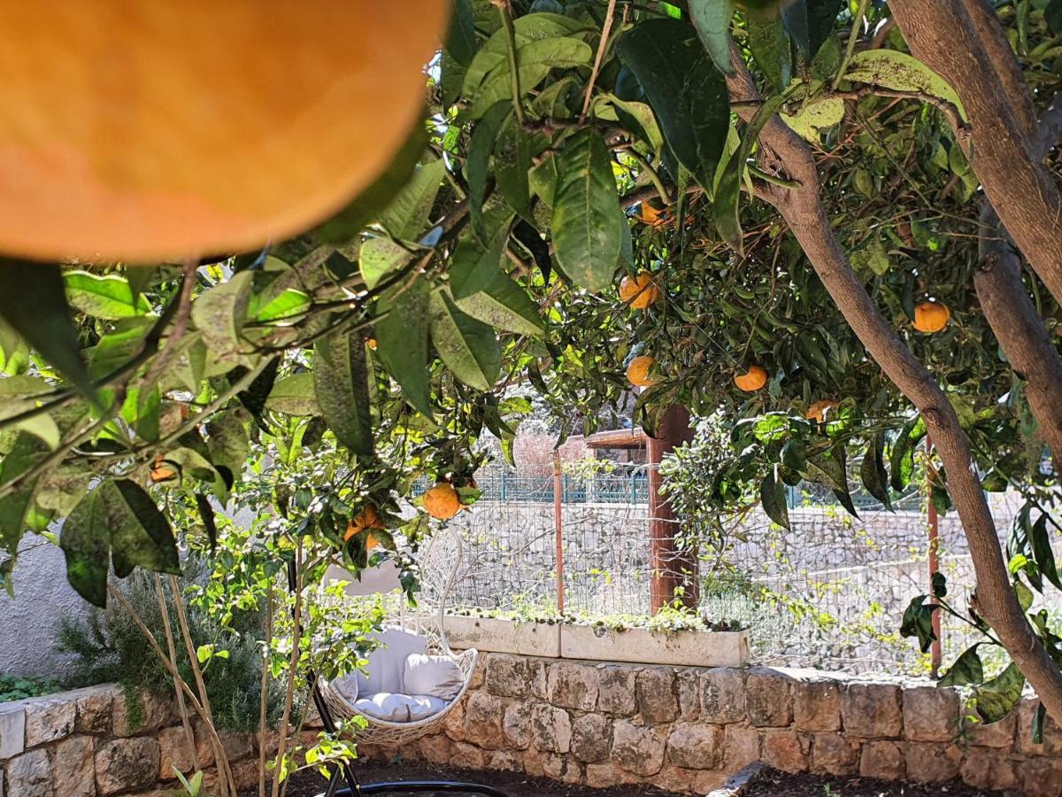 Barbara'S Garden Apartment Дубровник Екстериор снимка